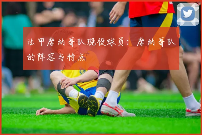 法甲摩纳哥队现役球员：摩纳哥队的阵容与特点