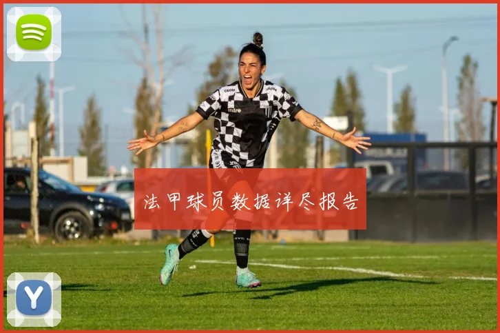 法甲球员数据详尽报告