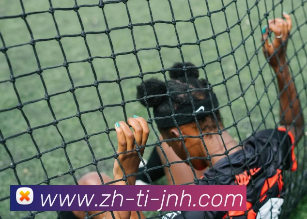 金年会体育品牌故事