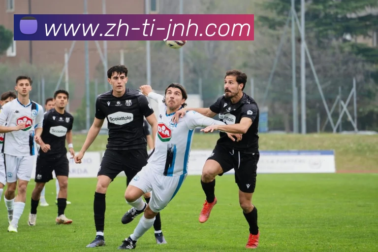 金年会体育服务体系