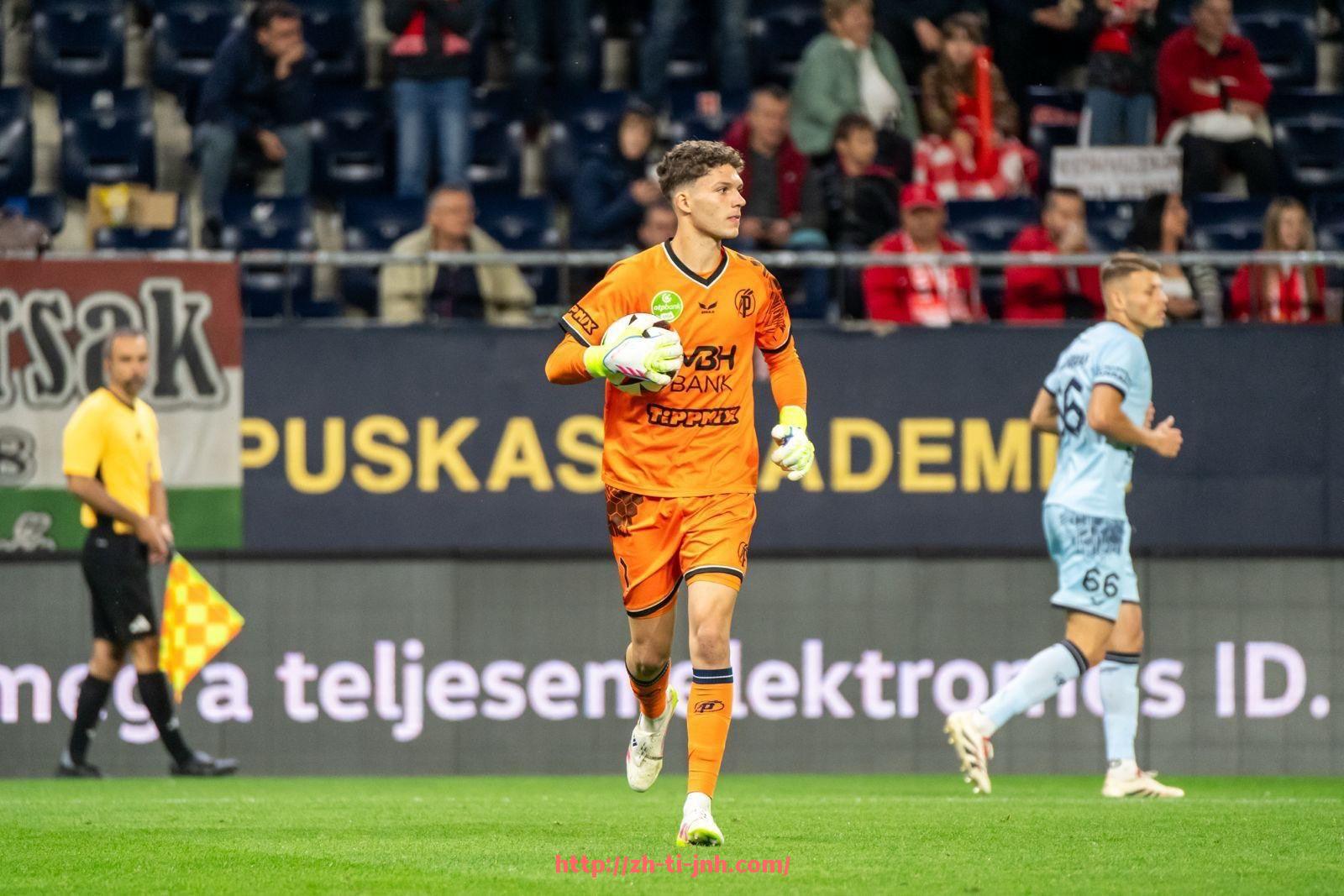 金年会体育-英超球队拥有多个中国老板的案例及投资分析